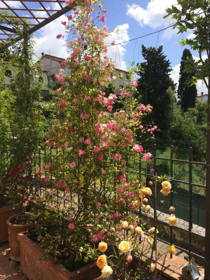 La Casina Delle Rondini Corsanico-Bargecchia Exterior foto